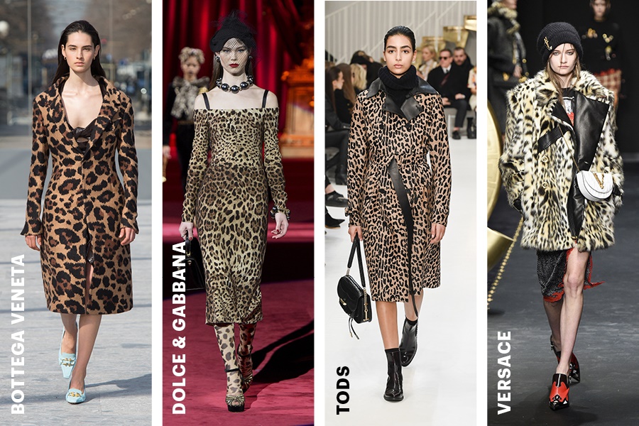 The Untamed Allure: A Deep Dive into the World of Animal Print The Untamed Allure: A Deep Dive into the World of Animal Print